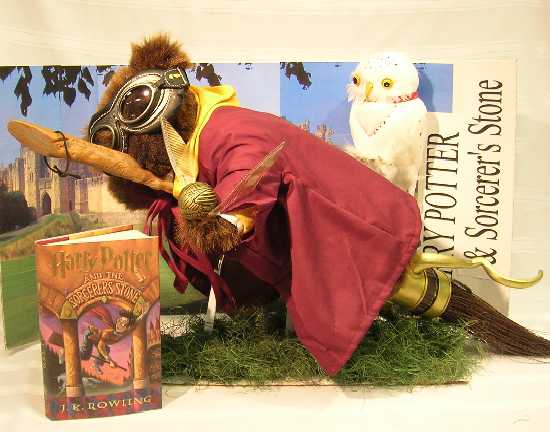 Return to B.E.A.R. Homepage