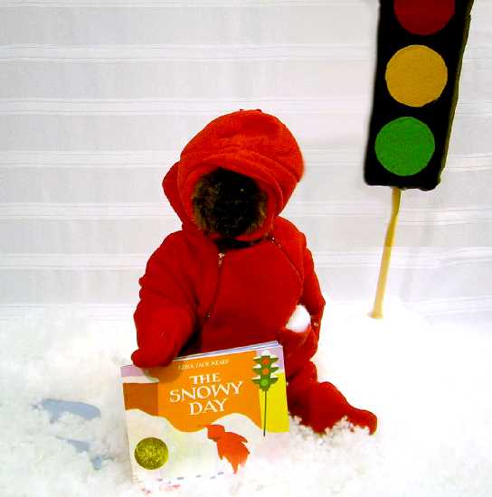 Return to B.E.A.R. Homepage