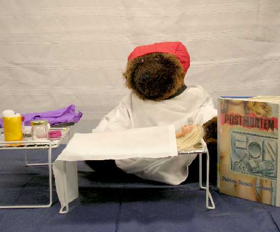 Return to B.E.A.R. Homepage